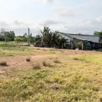 Chính chủ bán gấp 5600m2 đường Tỉnh 881 nhựa 10m, cách Phà Mỹ An 1km,giá 1tr160/m2 - Ảnh thu nhỏ 19