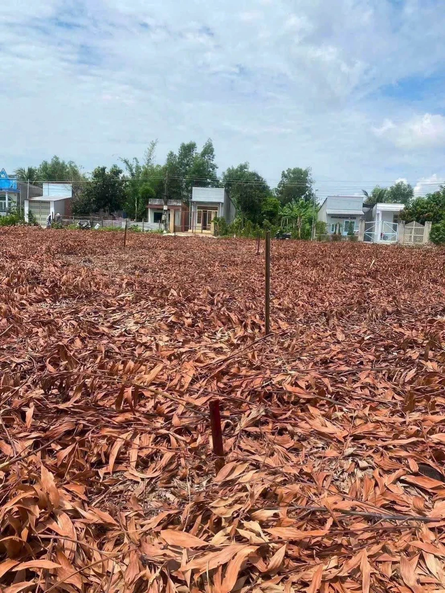 Bán đất thổ cư 5x40m sổ riêng, đường bê tông tại Gia Canh, Định Quán, Đồng Nai - Ảnh 1