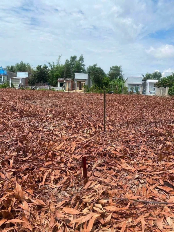 Bán đất thổ cư 5x40m sổ riêng, đường bê tông tại Gia Canh, Định Quán, Đồng Nai
