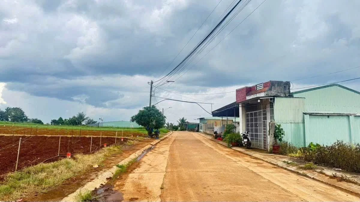 Bán đất nền 95m² hẻm lớn Lý Thường Kiệt 499 triệu - Ảnh 1
