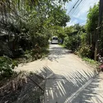 Bán đất trồng cây 500m2 gần KCN Giao Long 900 triệu - Ảnh thu nhỏ 4