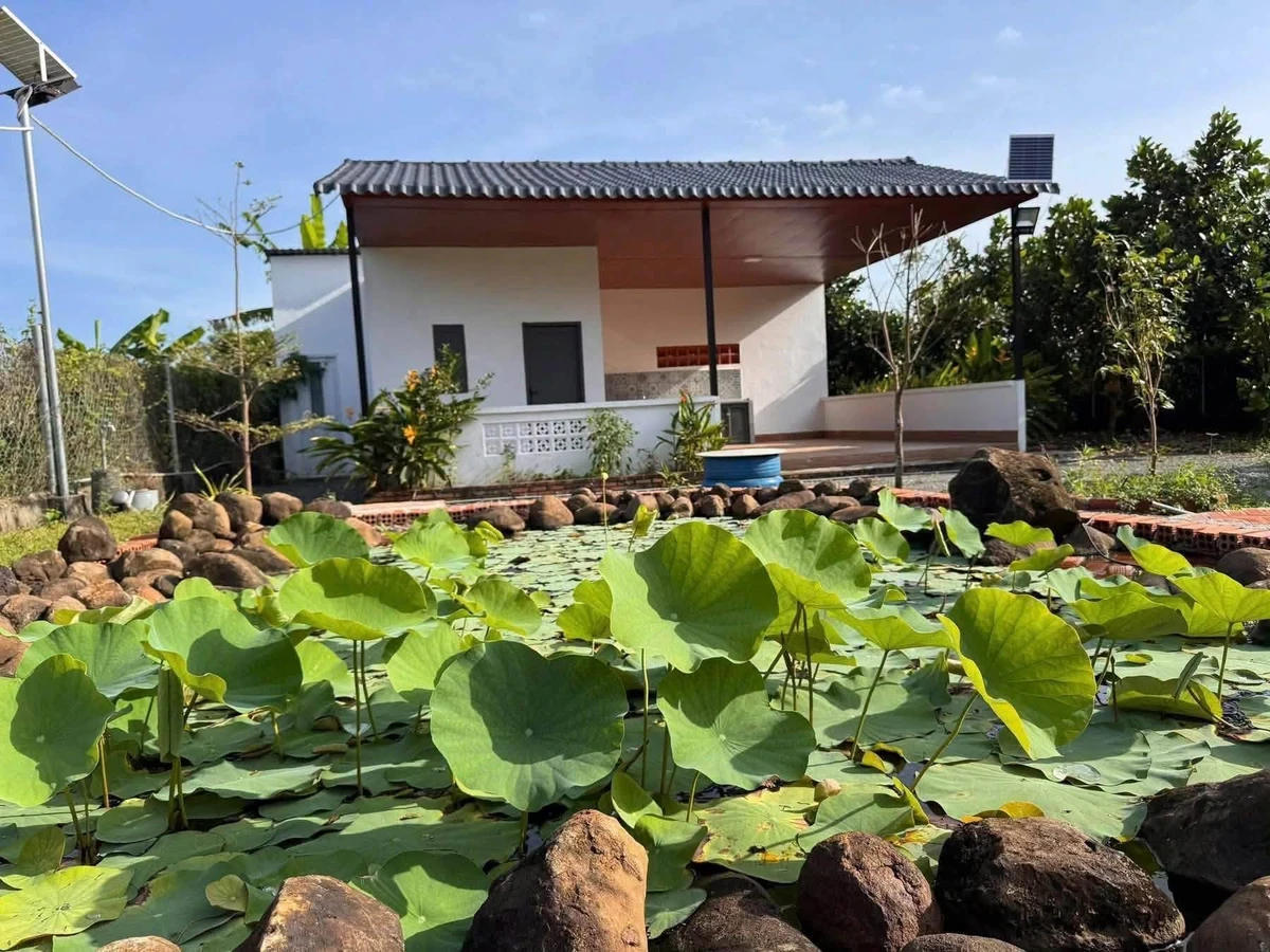 Bán đất vườn Long Tân Đất Đỏ Bà Rịa 1.077m² 2 tỷ 790 - Ảnh thu nhỏ 3