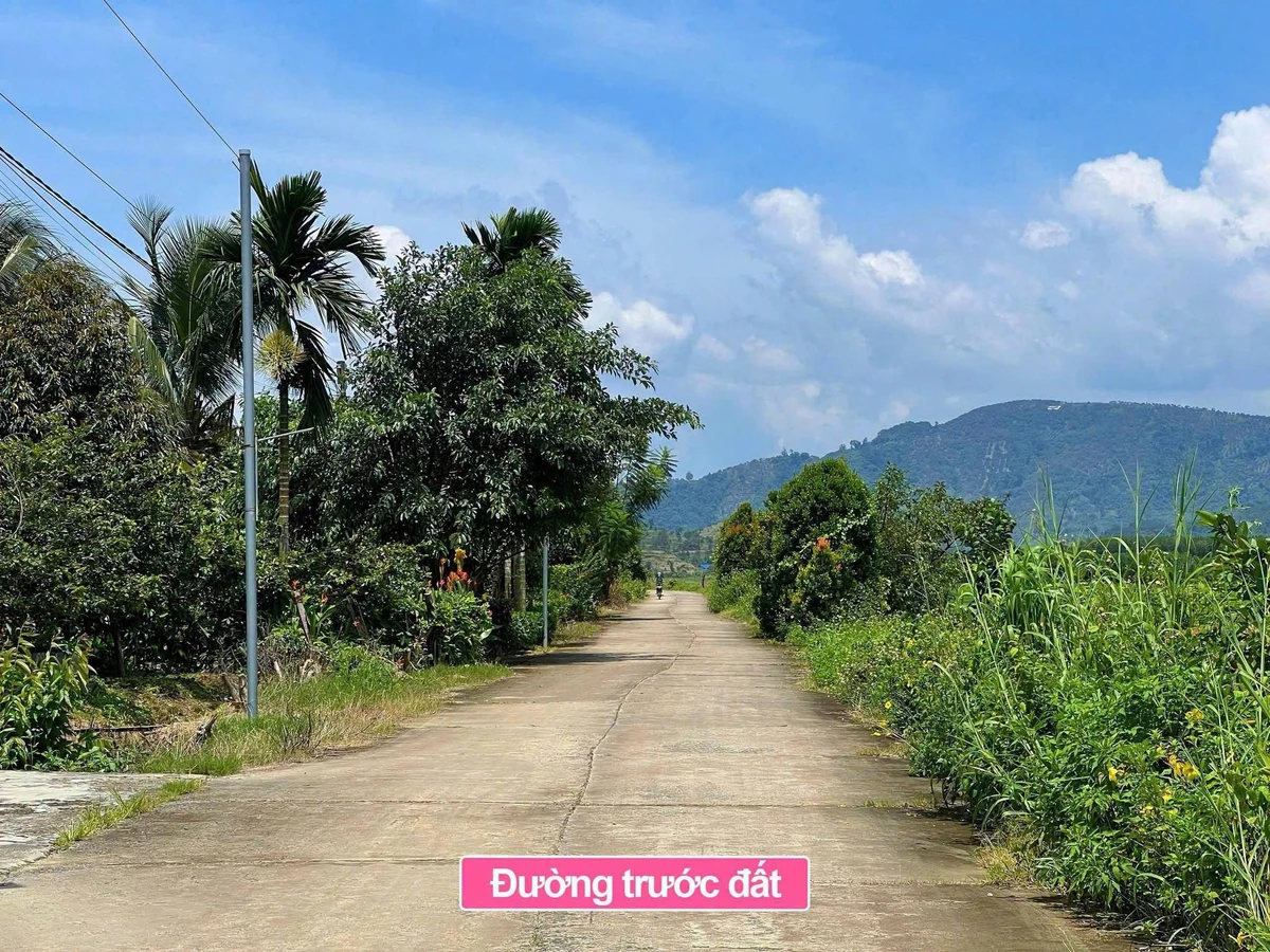 Bán đất Đạ Tẻh Lâm Đồng 155m2 giá 199 triệu - Ảnh thu nhỏ 2