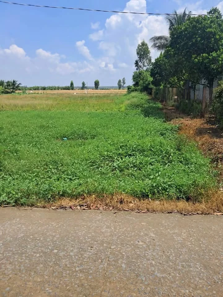 Bán đất Gò Công Đông 102 m² 189 triệu - Ảnh 1