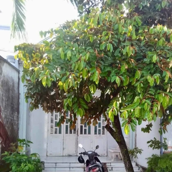 Bán nhà Ngọc Hân Công Chúa Rạch Giá 4.5x24m giá 1 tỷ 7
