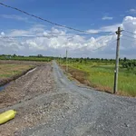 Bán đất vườn 1200m² Ấp 3 Tân Thành Thủ Thừa - Ảnh thu nhỏ 2