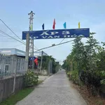 Bán đất 1000m² Ấp 3 Thạnh Đức Nhà Bè, được lên thổ cư - Ảnh thu nhỏ 5