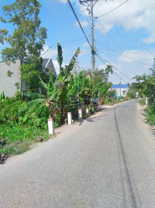 Đất 442,6 m2 ven sông và lộ nhựa cách cầu Cần Thơ tầm 3km giá 1 tỷ 800 - Ảnh 1
