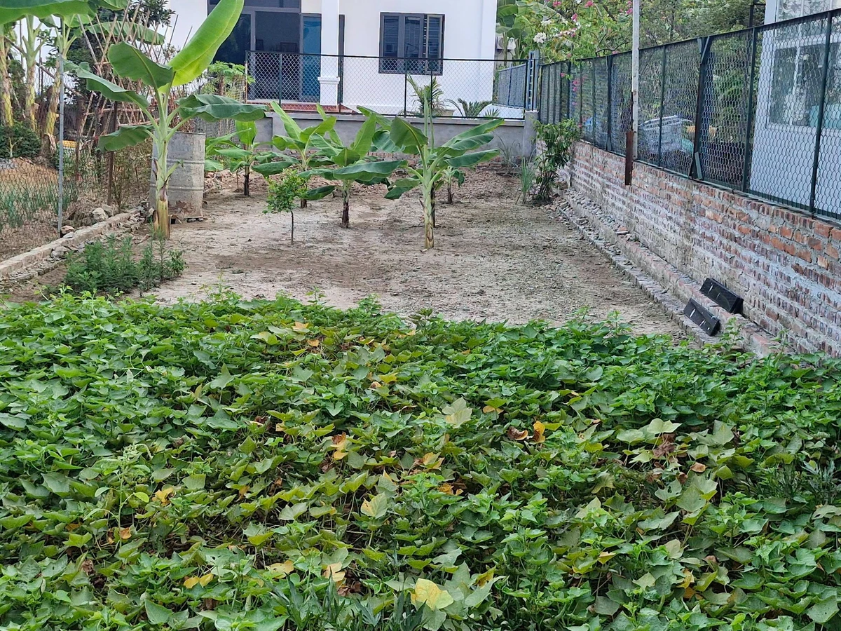 Bán đất 80m2 full thổ cư Bắc Phú Đa Phúc Hà Nội - Ảnh 1