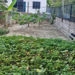 Bán đất 80m2 full thổ cư Bắc Phú Đa Phúc Hà Nội - Ảnh thu nhỏ 1