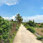 Bán lô đất thổ cư mặt tiền Thủ Thừa, Long An 176 m² - Ảnh thu nhỏ 4