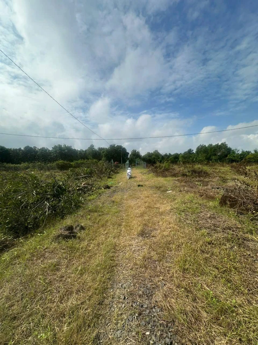 Bán đất 22.225m2 Ấp 1, Thanh Sơn, Định Quán, Đồng Nai giá 1,8 tỷ - Ảnh 1