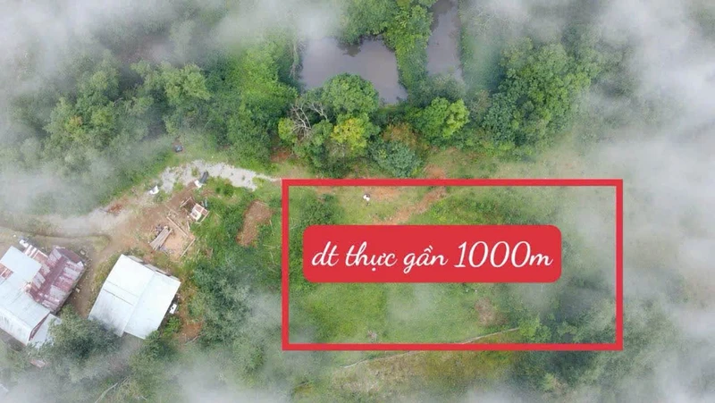 Bán đất Măng Đen 500m² view suối, Kon Tum