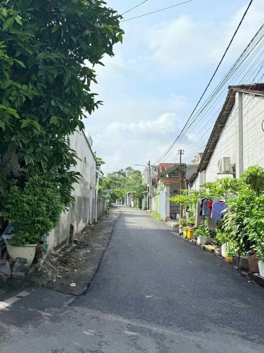 Bán đất Tân An Thủ Dầu Một Bình Dương 100m2 giá 2 tỷ 50 - Ảnh thu nhỏ 2