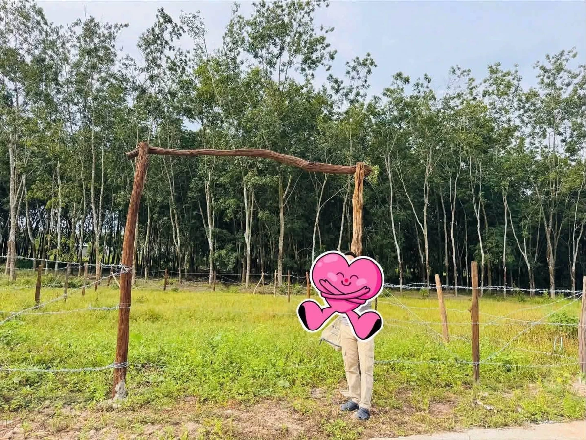 Bán đất Bình Phước 100m², 310 triệu - Ảnh thu nhỏ 3