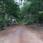 Bán đất 9.400m² mặt tiền Đường 300, TP.HCM - 25 tỷ - Ảnh thu nhỏ 3