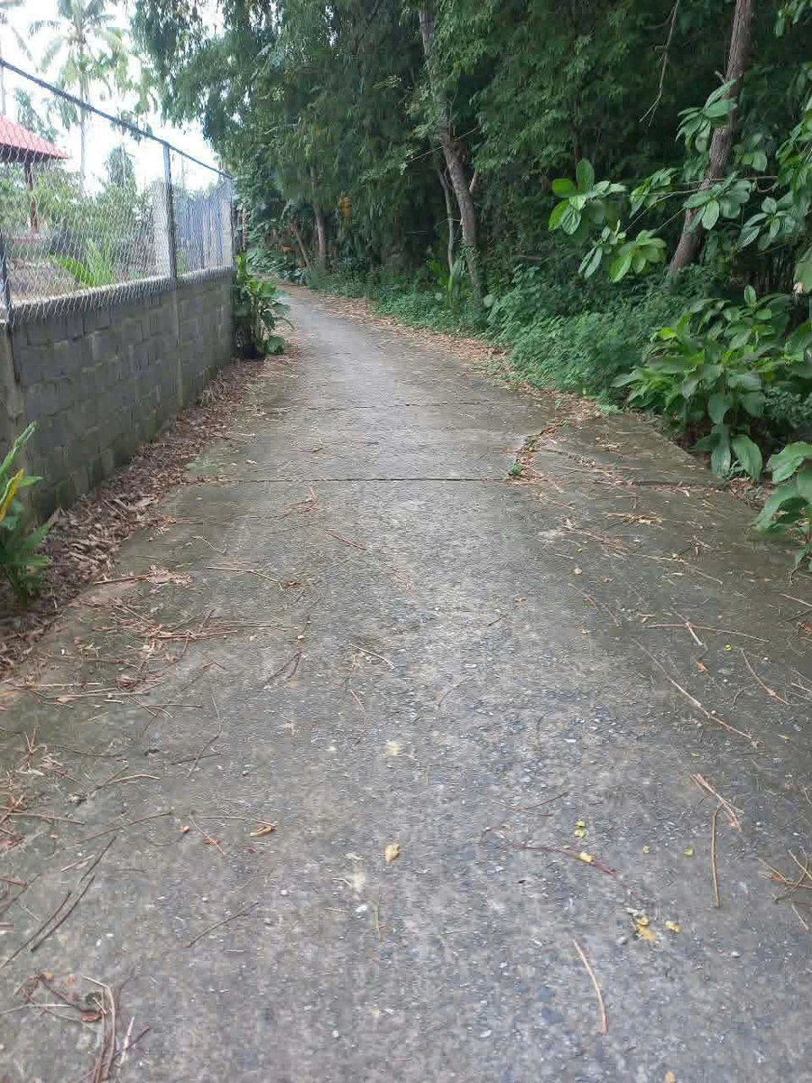 Bán đất Hòa Quý 104,6m², 2,3 tỷ, Nhà Bè - Ảnh thu nhỏ 2