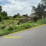 Bán đất 2 mặt tiền Quốc Lộ 1A 936m² Xuân Lộc Đồng Nai - Ảnh thu nhỏ 2