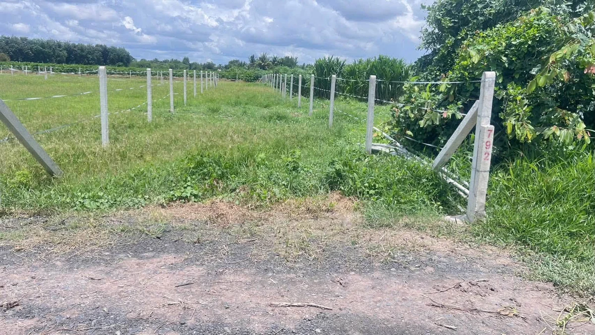 Bán lô đất công 1000m² Suối Đá Tây Ninh 529 triệu - Ảnh thu nhỏ 2