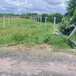 Bán lô đất công 1000m² Suối Đá Tây Ninh 529 triệu - Ảnh thu nhỏ 2