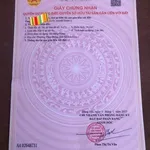 Bán nhà kề mặt tiền Thống Nhất, 74m² Phan Rang, Khánh Hòa - Ảnh thu nhỏ 5