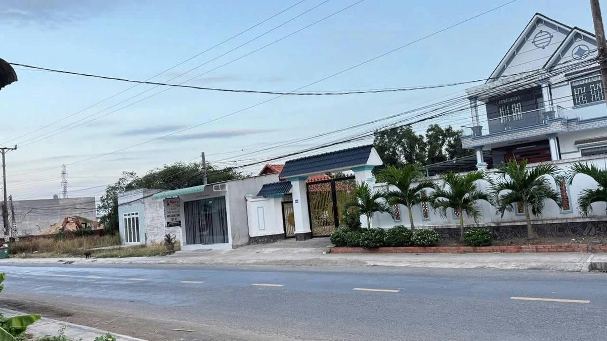 Bán biệt thự 300m² Mỹ Yên, Bến Lức, Long An - 10 tỷ - Ảnh thu nhỏ 2