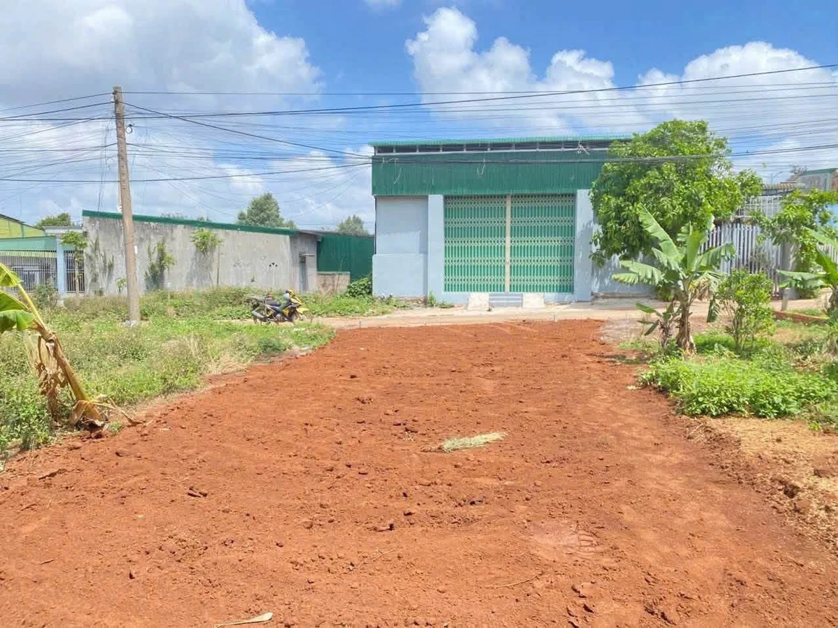 Bán đất Tân Lợi 115m² giá 3,19 tỷ - Ảnh 1