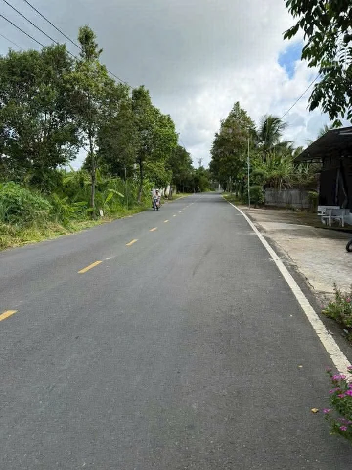 Bán nền mặt tiền Nguyễn Văn Quy Cần Thơ 153,8m2 - Ảnh thu nhỏ 2