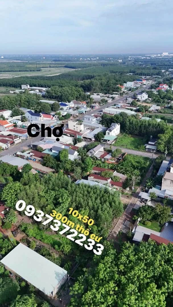 Bán đất 300m2 tại KP Đồng Hưu Chơn Thành, Bình Dương - Ảnh thu nhỏ 3