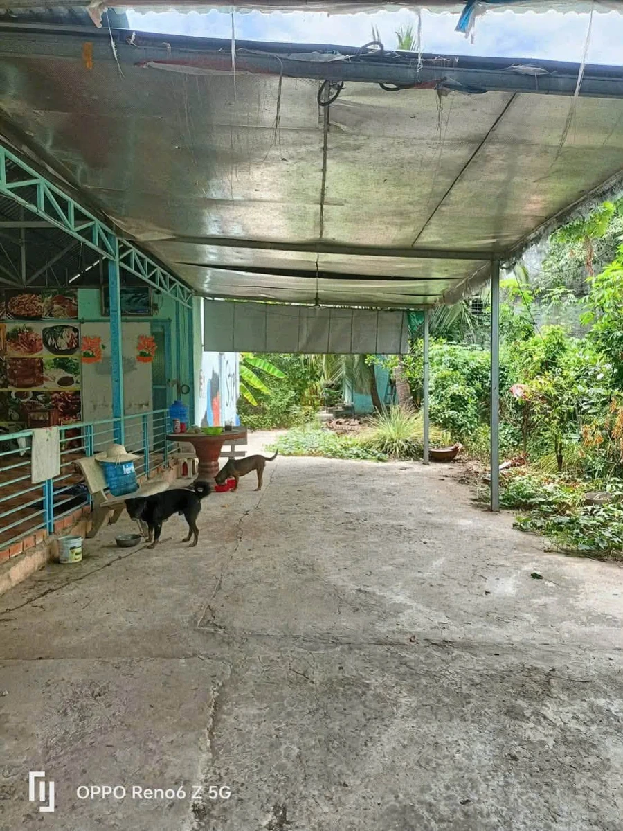 Bán đất khu công nghiệp Giao Long Vĩnh Long 813.9m² - Ảnh thu nhỏ 2