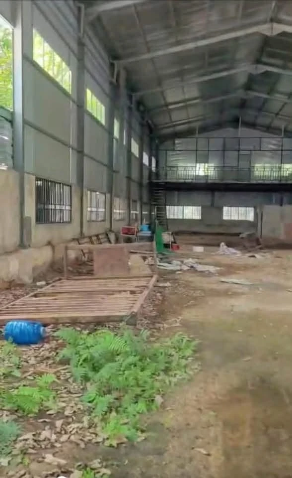 Bán lô đất 100m2 gần An Tây, Bình Chánh 4 tỷ - Ảnh 1