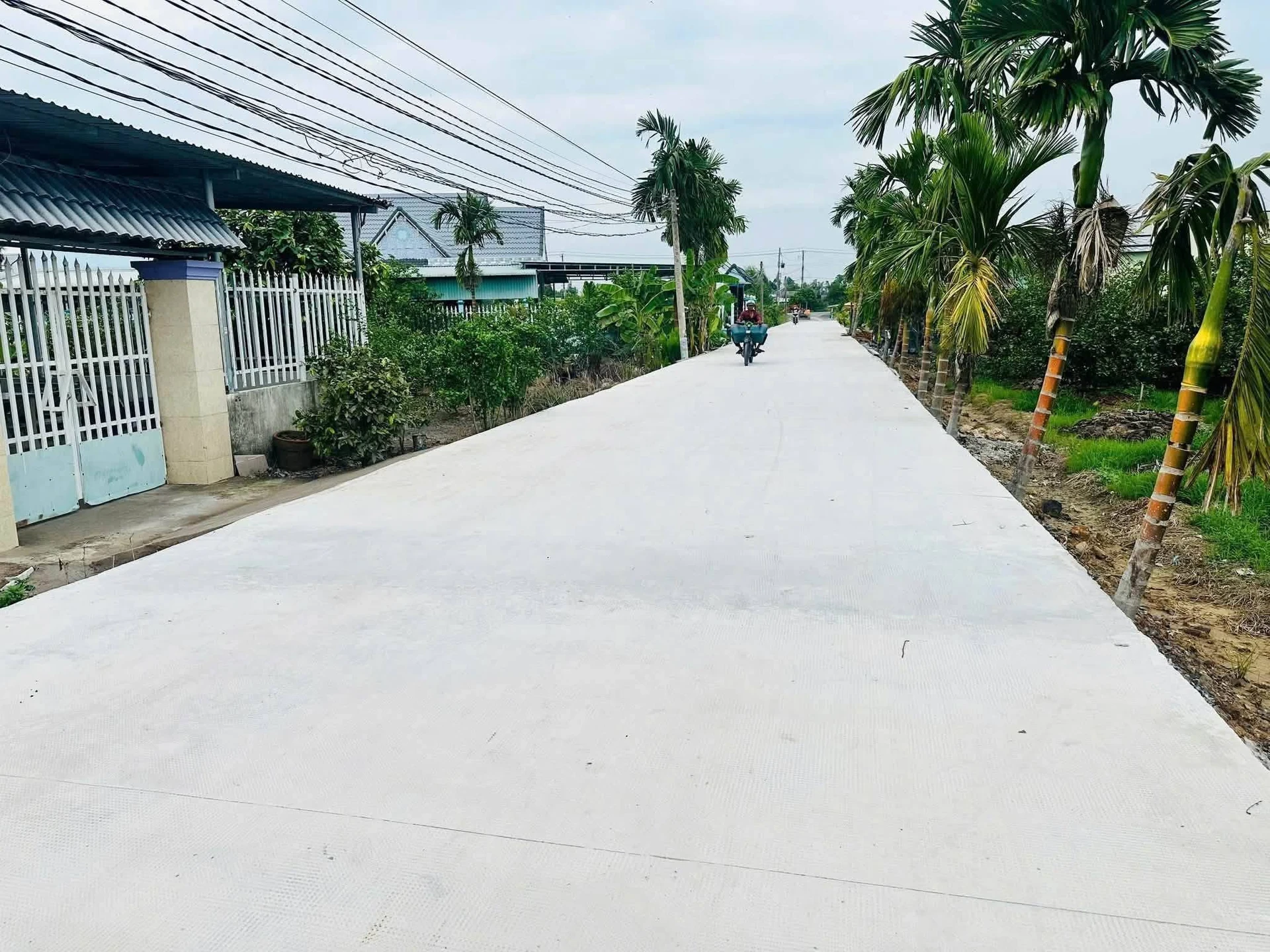 Bán đất vườn 500m2 giá 420 triệu tại Thạnh Hòa, Bến Lức, Long An (nay Tây Ninh) - Ảnh 1