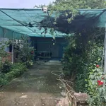 Bán nhà 1 phòng ngủ 420m² Đồng Xoài 1 tỷ 200 triệu - Ảnh thu nhỏ 1