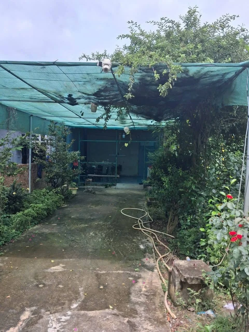 Bán nhà 1 phòng ngủ 420m² Đồng Xoài 1 tỷ 200 triệu - Ảnh 1