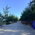 Bán đất mặt tiền biển Bãi Ông Rạng 600m2, giá 2.2 tỷ - Ảnh thu nhỏ 2