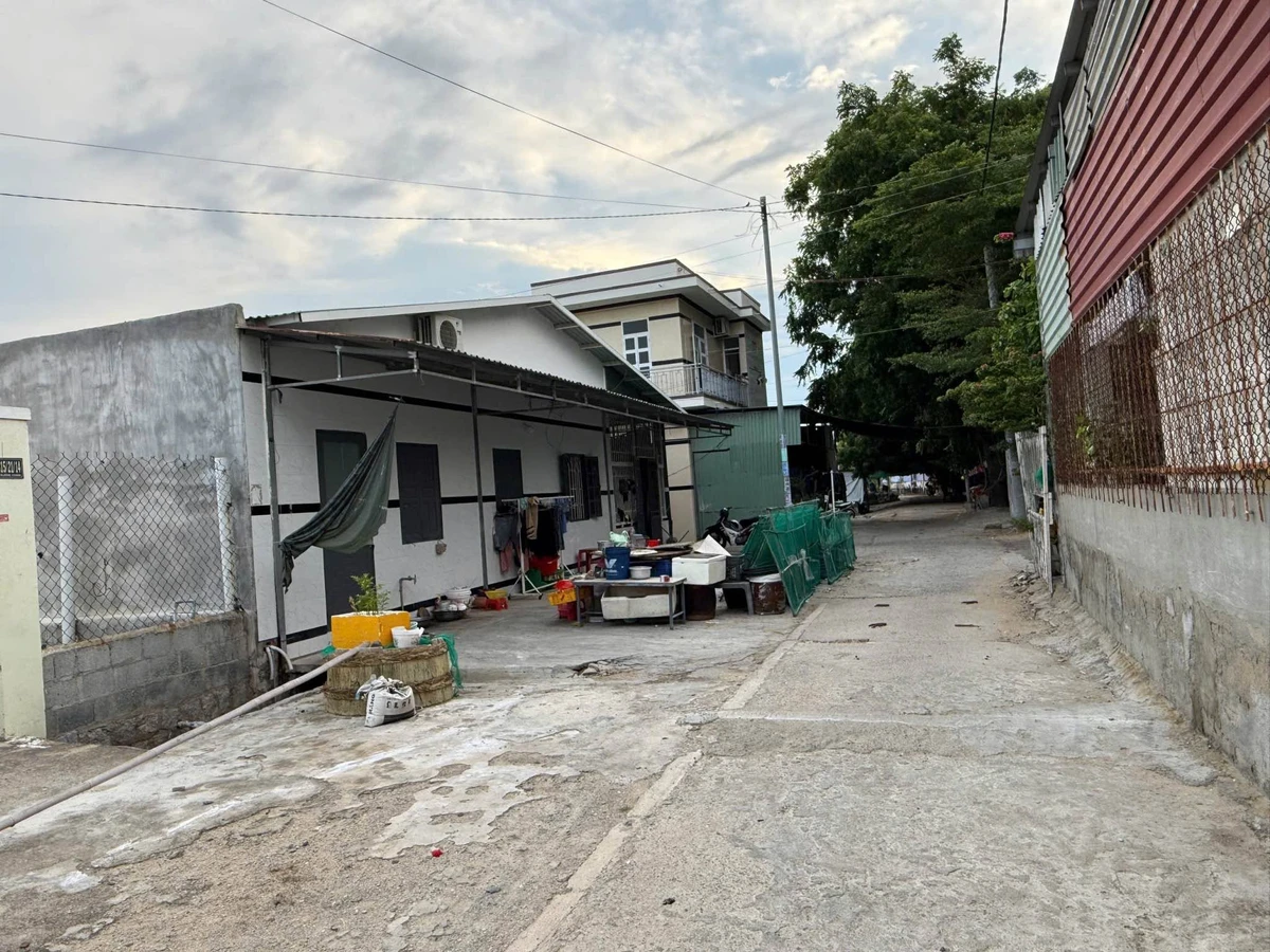 Đất bán Ninh Chữ 143m² mặt tiền 14,5m gần biển - Ảnh thu nhỏ 3