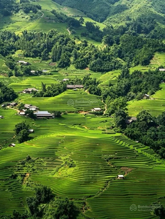 Bán đất tại đường Thạch Sơn, Sa Pa, Lào Cai, giá 75 tỷ, diện tích 748 m2 - Ảnh thu nhỏ 3