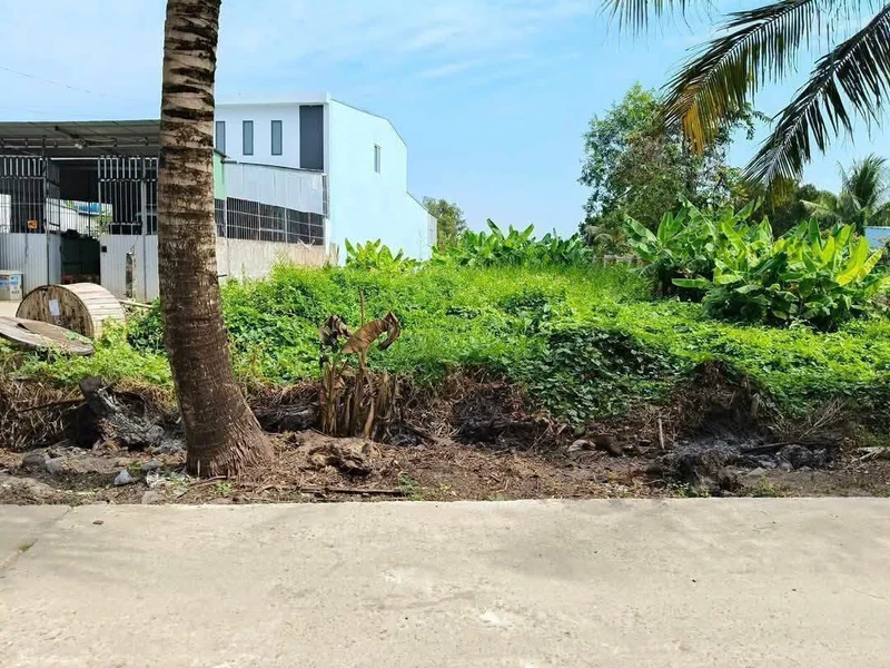 Bán đất mặt tiền Nguyễn Trung Ngạn An Bình 921.8m², 3.5 tỷ
