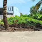 Bán đất mặt tiền Nguyễn Trung Ngạn An Bình 921.8m², 3.5 tỷ - Ảnh thu nhỏ 1