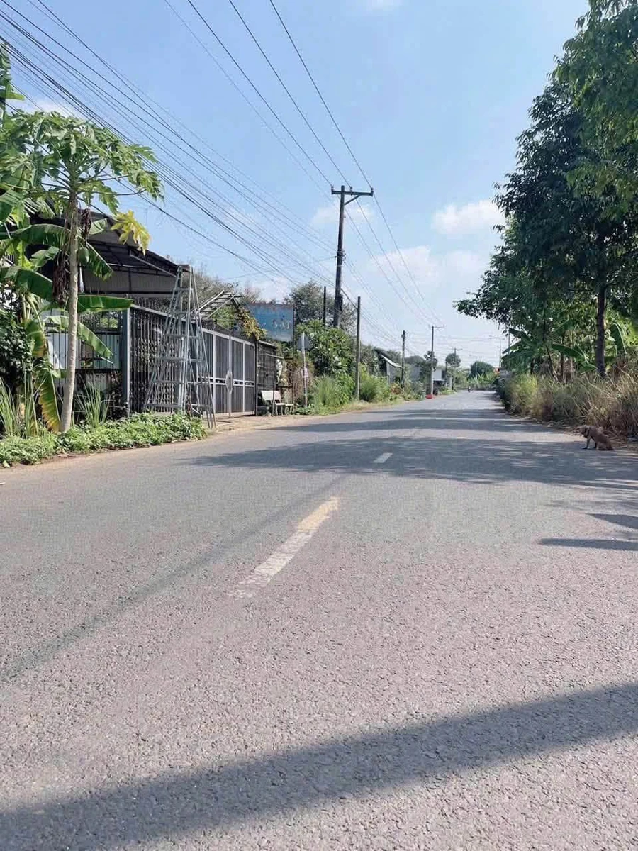 Bán lô đất đường nhựa chợ Hưng Lộc, 195m² sổ riêng Dầu Giây - Ảnh thu nhỏ 3