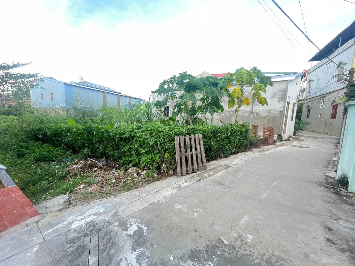 Bán đất 48,6m2 thôn Tam Đa, xã Tam Hưng, Hà Nội, giá giảm còn khoảng 2,6 tỷ - Ảnh thu nhỏ 3