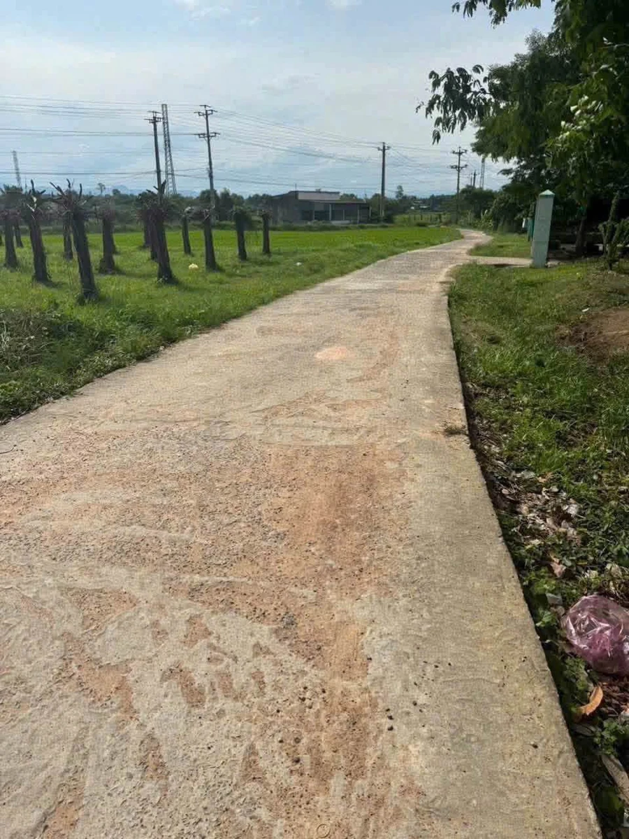 Bán 135m đất thổ cư Xã Hàm Chính Bình Thuận 390 triệu - Ảnh thu nhỏ 2