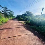 Bán đất Tân Phước, Bình Tân 480m2, 5 tỷ - Ảnh thu nhỏ 3