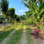 Bán đất Đạ Tẻh Lâm Đồng 150m2 380 triệu - Ảnh thu nhỏ 1