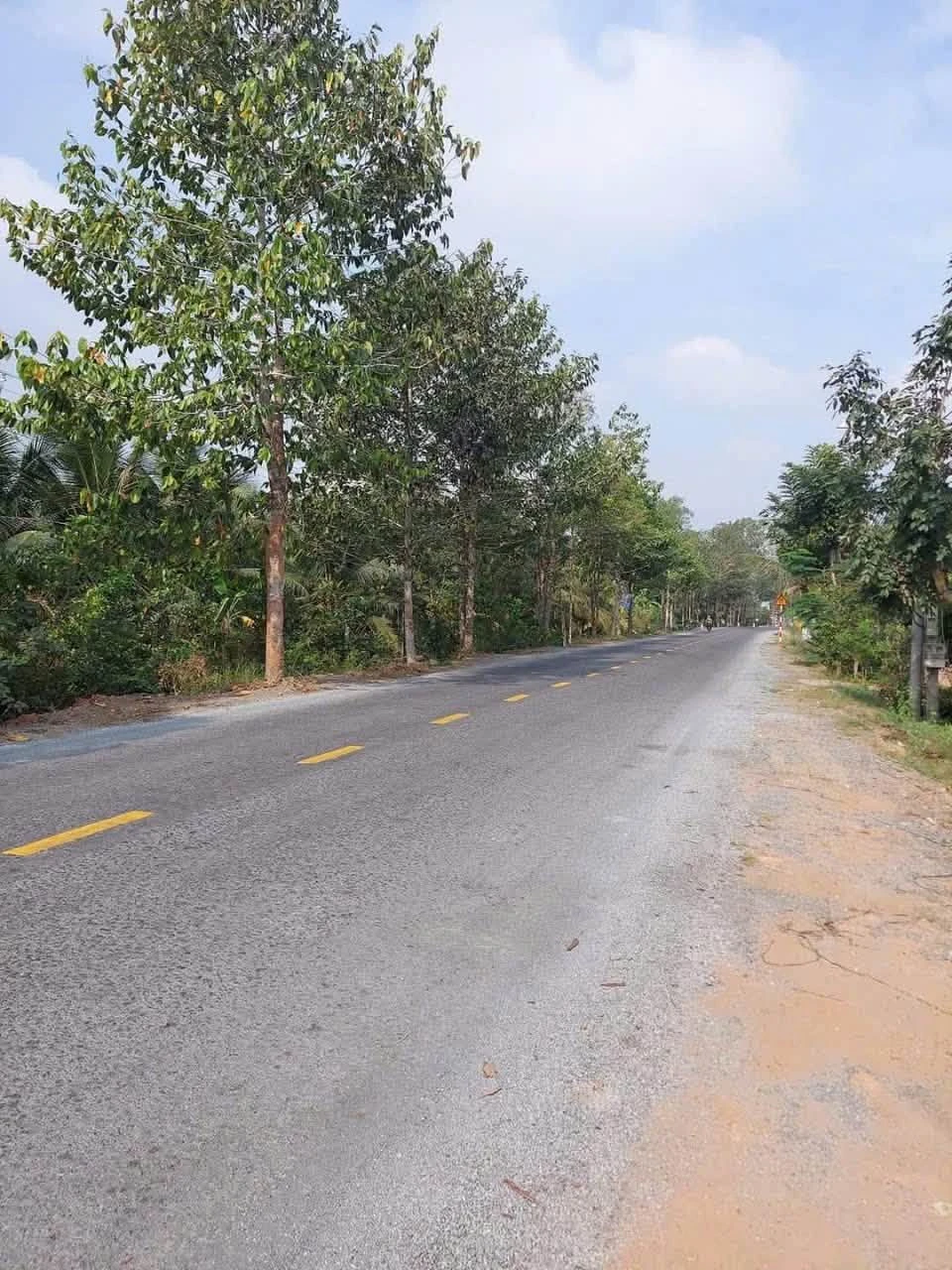 Cho thuê đất mặt tiền Lộ 173, 1183m2, 10 triệu/tháng - Ảnh 1