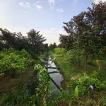 Bán đất Phường An Bình Cần Thơ 2548m2, giá 1,9 triệu/m2 - Ảnh thu nhỏ 3