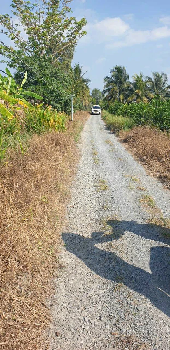 Bán 1000m² đất vườn Thủ Thừa, Long An, 590 triệu - Ảnh thu nhỏ 2