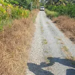 Bán 1000m² đất vườn Thủ Thừa, Long An, 590 triệu - Ảnh thu nhỏ 2
