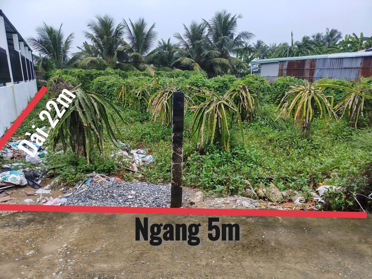 Bán đất thổ cư 110m² Tầm Vu, Châu Thành, Long An 495 triệu - Ảnh 1