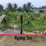 Bán đất thổ cư 110m² Tầm Vu, Châu Thành, Long An 495 triệu - Ảnh thu nhỏ 1